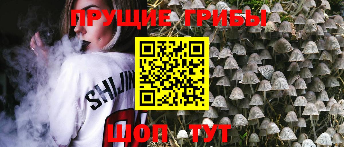 Псилоцибиновые грибы мухоморы  купить закладку  Баксан  Вход с VPN 